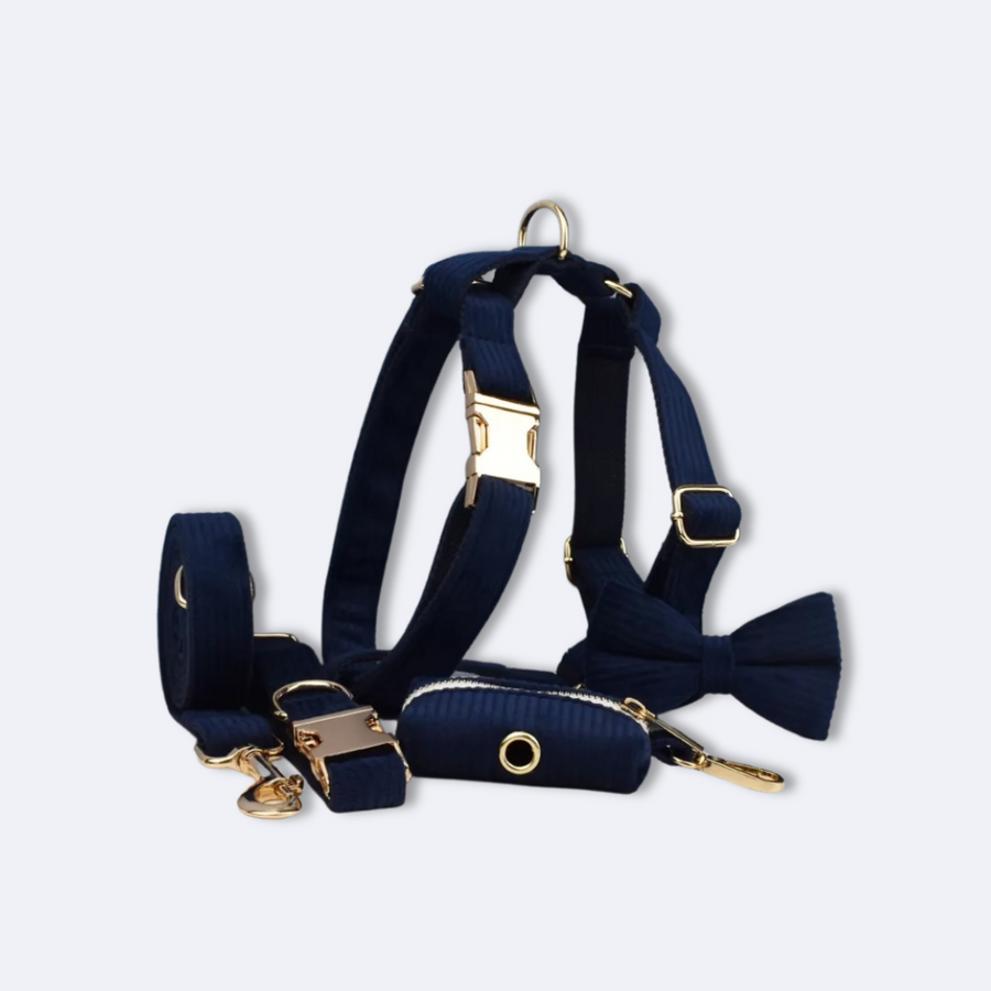 Corduroy Collar and Leash Set