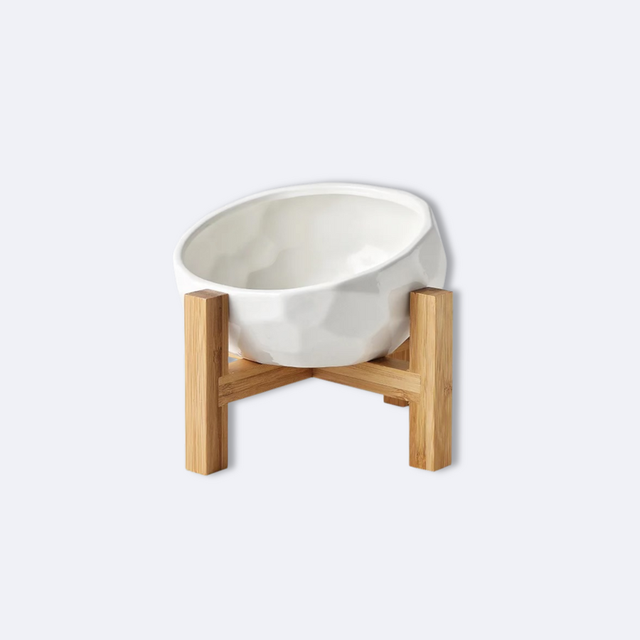 Pawsential Ceramic Elevated Pet Bowl