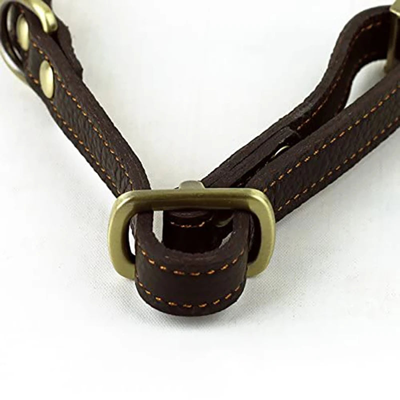 Metal Buckle Leather Dog Collar