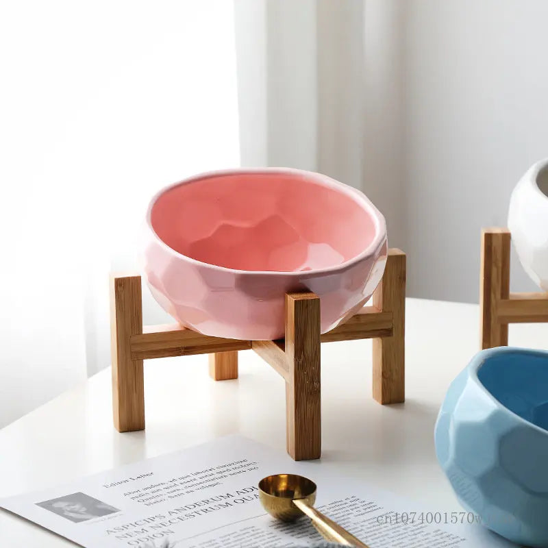 Pawsential Ceramic Elevated Pet Bowl