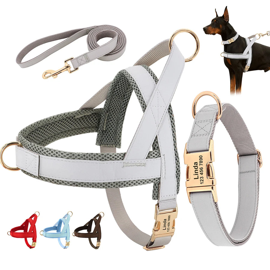 Pawsentials Harness Leash Set