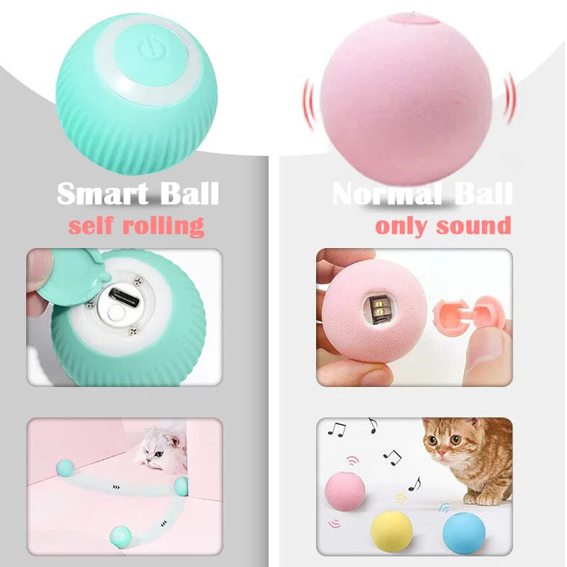 PurrPlay Smart Ball